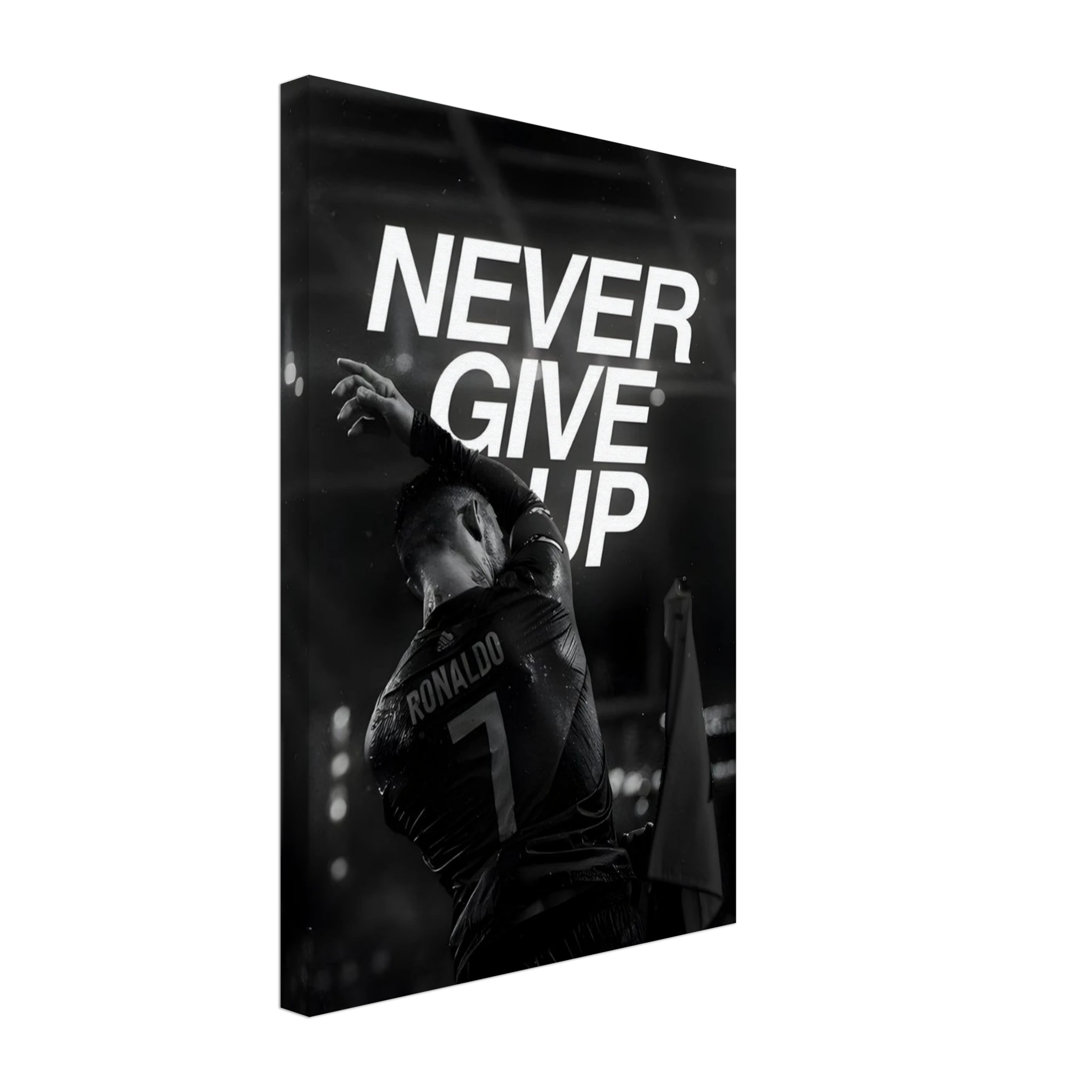 66277194-8136-42ba-9dd7-5629e8027ba2