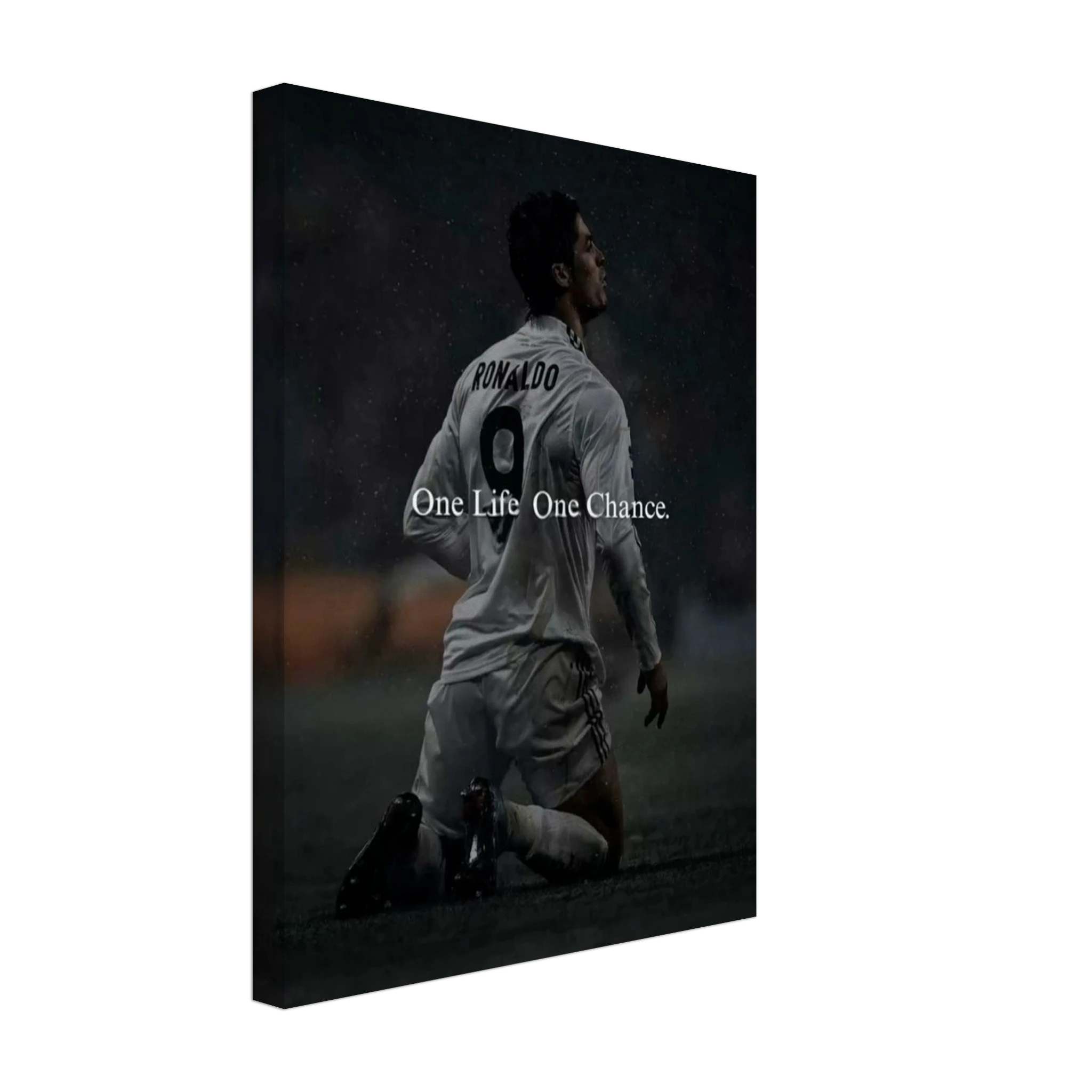 76eca7d5-8261-4999-96e9-7cd27a3c2cf7