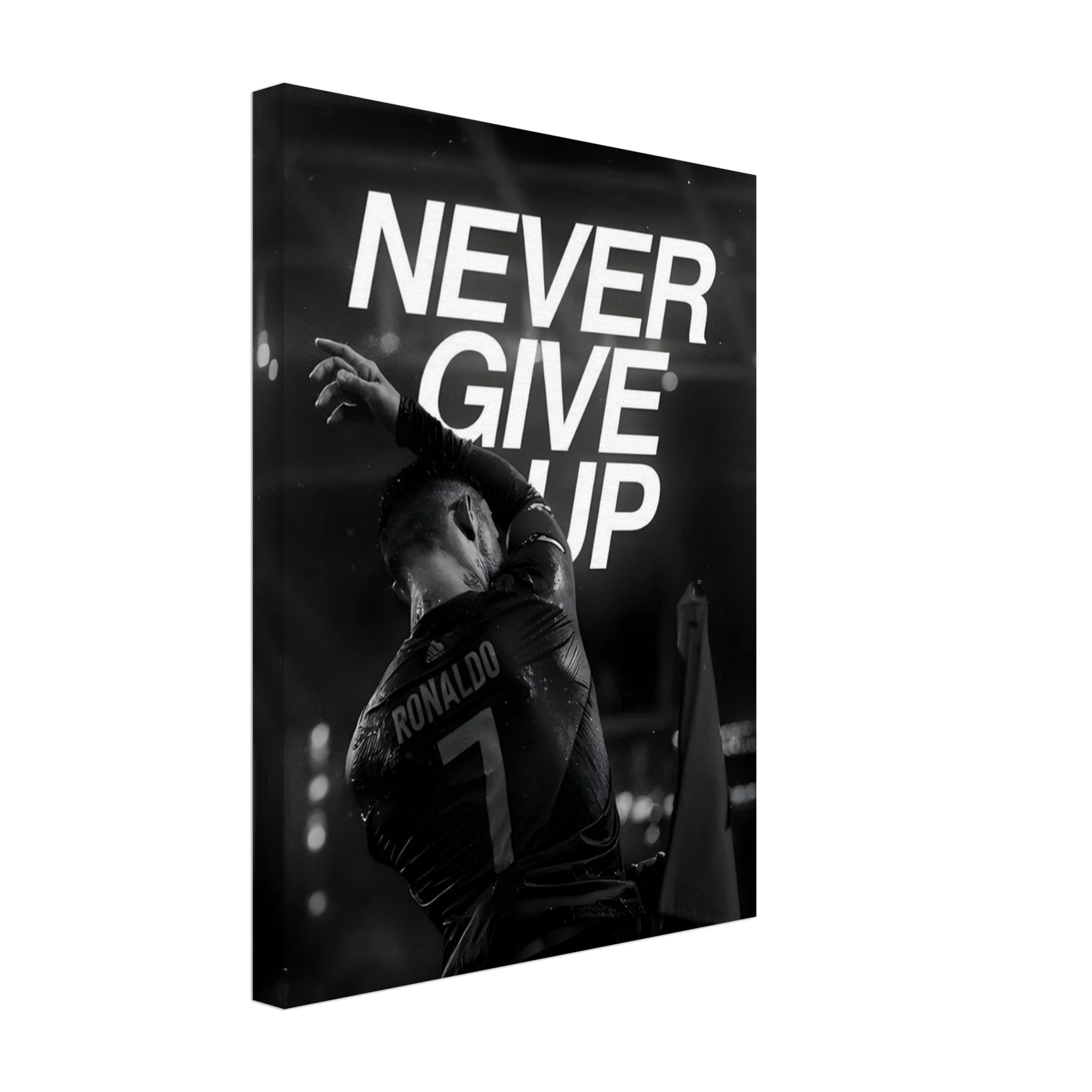 8e8b478f-8b16-4aad-b2ff-227a55191c20